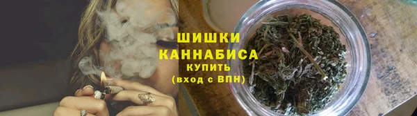 гидра Аркадак