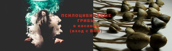 мдпв Арсеньев