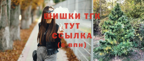 гидра Аркадак