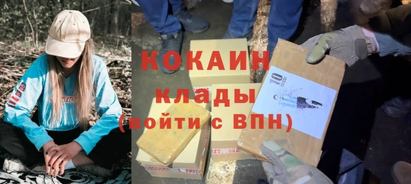 гидра Аркадак