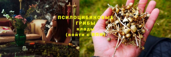 гидра Аркадак