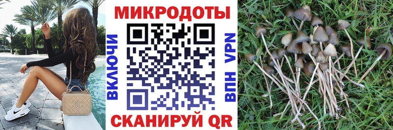 Псилоцибиновые грибы GOLDEN TEACHER  Набережные Челны 