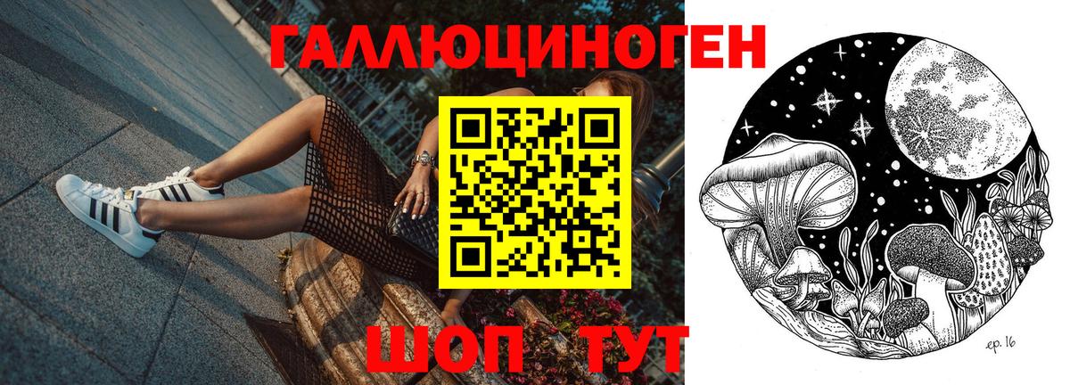 Набережные Челны  Псилоцибиновые грибы MAGIC MUSHROOMS  Вход с VPN 